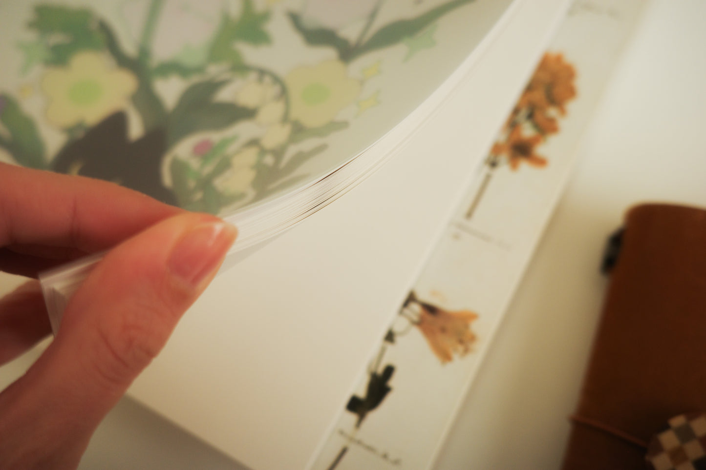 ghosties sticker book